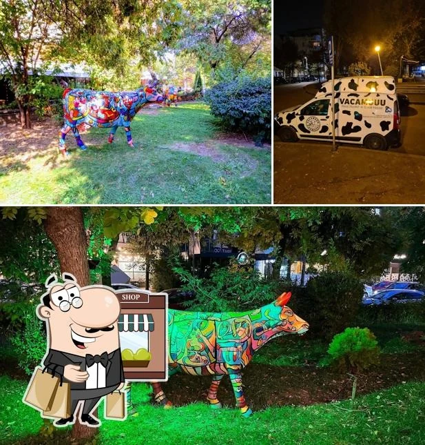Vaca Muuu Bucuresti - attached location photo
