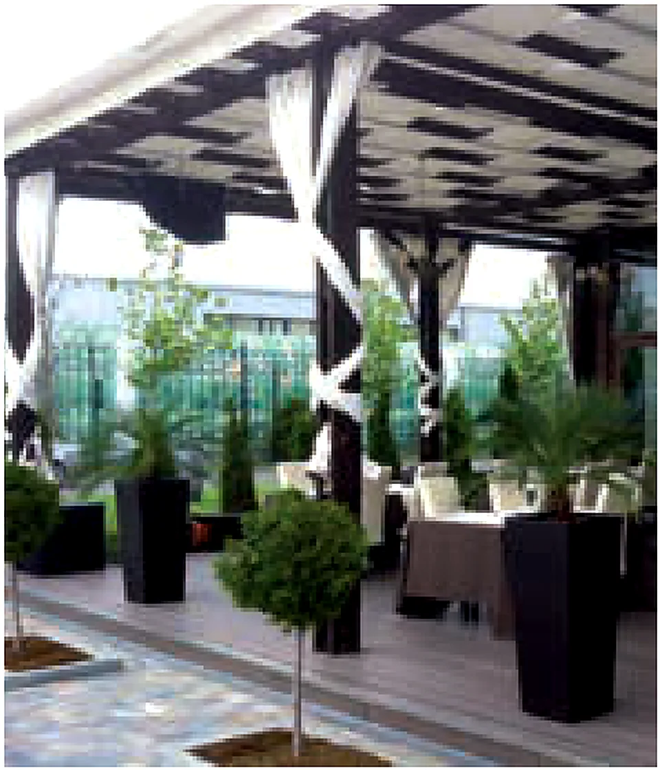 Ambasad'Or Events - portfolio image